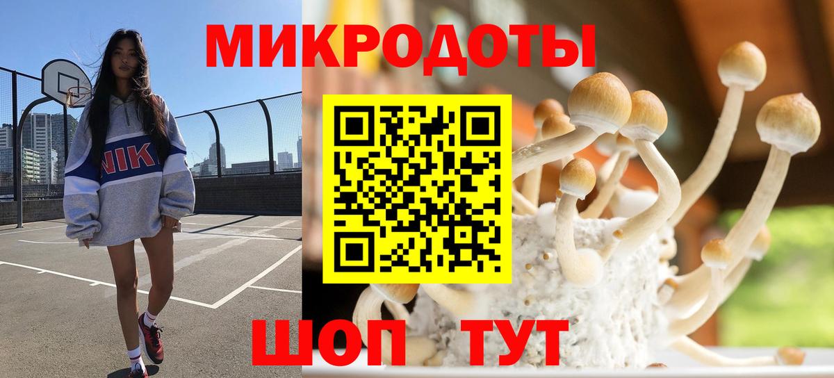 Псилоцибиновые грибы Psilocybe  Вход с VPN  Нижневартовск 